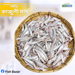কাজুলী মাছ