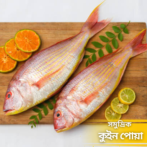 কুইন পোয়া