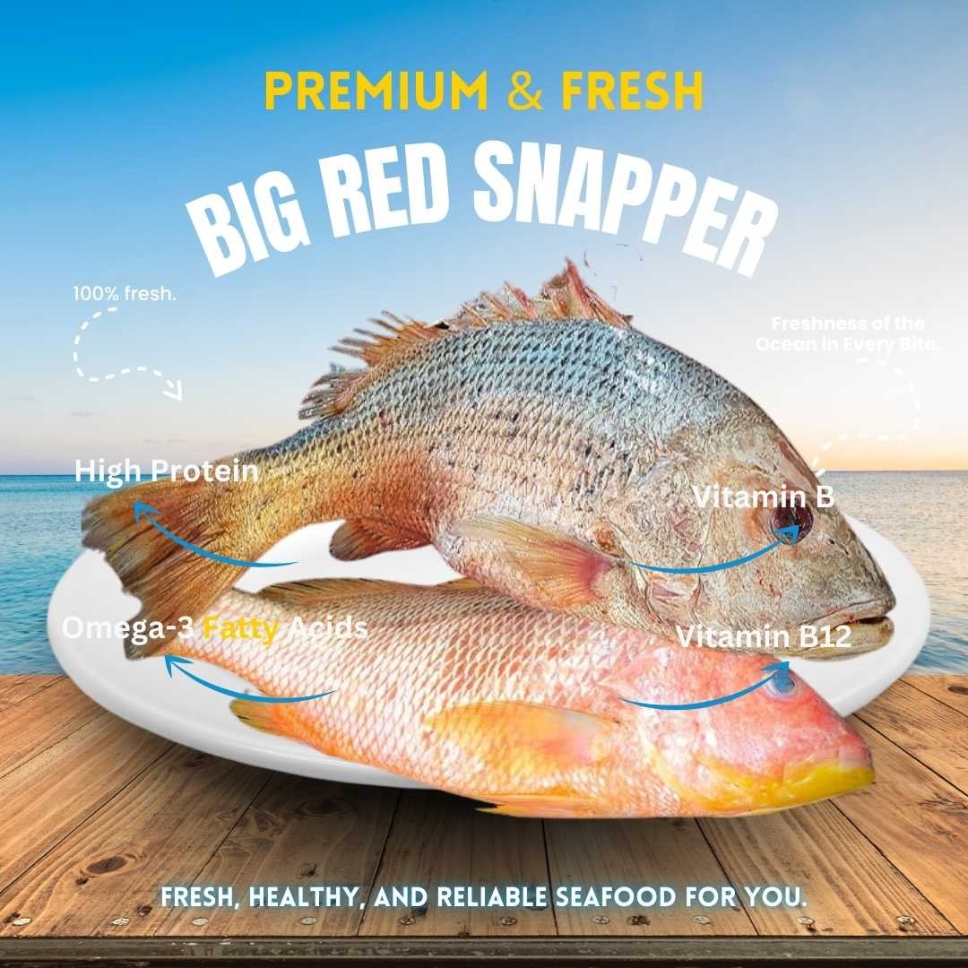 Red Snapper